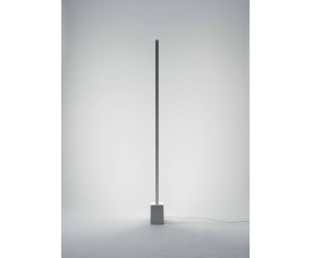 MA&DE PIANTANA XILEMA