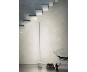 MA&DE PIANTANA XILEMA 2