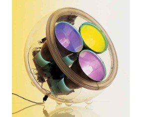 ARTEMIDE PIANTANA YANG METAMORFOSI 2