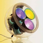 ARTEMIDE PIANTANA YANG METAMORFOSI