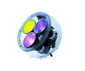 ARTEMIDE PIANTANA YANG METAMORFOSI