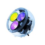 ARTEMIDE PIANTANA YANG METAMORFOSI