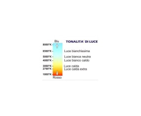 TOP LIGHT LAMPADINA 2G11 20W LED BOX 3 2