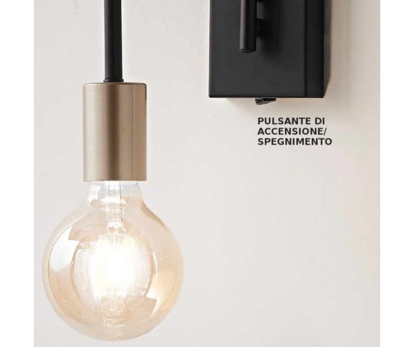 PERENZ APPLIQUE VECTOR 6606