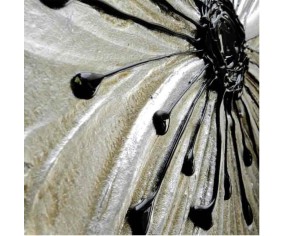 PINTDECOR SPECCHIO DA PARETE PETUNIA SCOMPOSTA PICCOLA 2