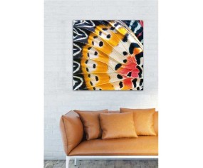 PINTDECOR QUADRO ALI DI FARFALLA