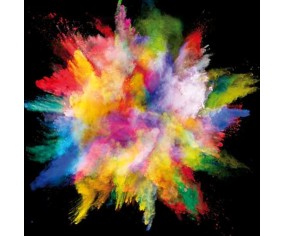 PINTDECOR QUADRO ESPLOSIONE DI COLORI