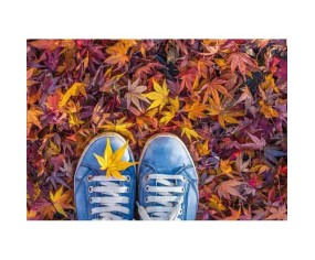 PINTDECOR QUADRO COLORI D'AUTUNNO