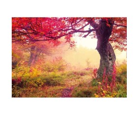 PINTDECOR QUADRO AUTUNNO ROSSO
