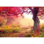 PINTDECOR QUADRO AUTUNNO ROSSO