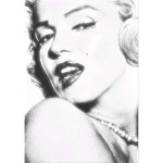PINTDECOR QUADRO 3D MARILYN