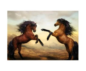 PINTDECOR QUADRO DESTRIERI