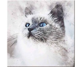 PINTDECOR QUADRO GATTINO