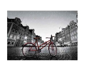 PINTDECOR QUADRO COLOR VELO