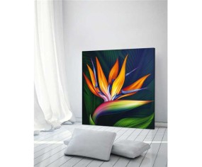 PINTDECOR QUADRO STRELITZIA