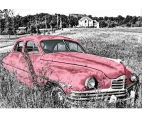 PINTDECOR QUADRO L'AUTO ROSA