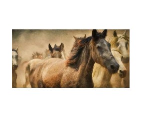 PINTDECOR QUADRO MANDRIA