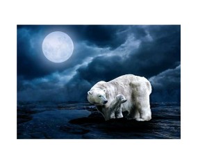 PINTDECOR QUADRO ORSO BIANCO