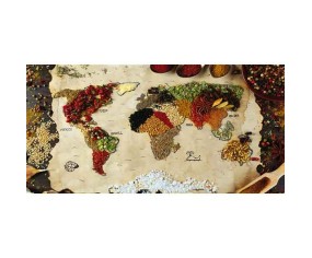 PINTDECOR QUADRO SPEZIE DEL MONDO