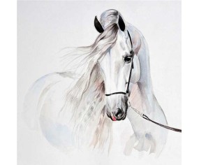 PINTDECOR QUADRO CAVALLO BIANCO