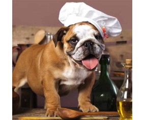 PINTDECOR QUADRO DOG CHEF