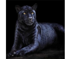 PINTDECOR QUADRO PANTERA