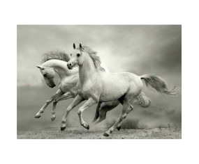 PINTDECOR QUADRO MUSTANG