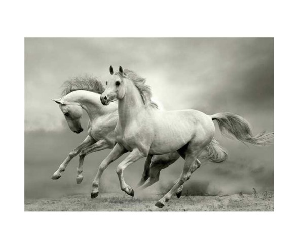 PINTDECOR QUADRO MUSTANG