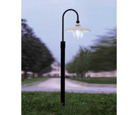 FERROLUCE PALO DA TERRA CAMPOBASSO