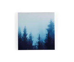 QUADRO MODERNO FOREST