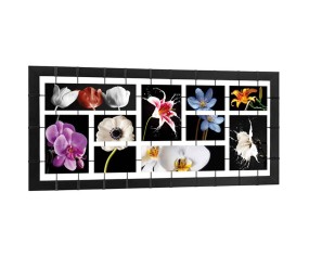 PINTDECOR QUADRO MODERNO BOUQUET