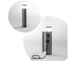 PERENZ PIANTANA ESPINA PER ESTERNO