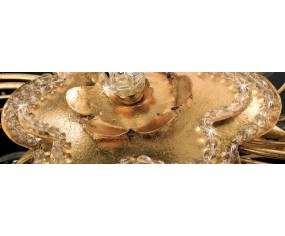 GRAZIOSO ILLUMINAZIONE APPLIQUE 1 LUCE ART.AP149/1 2