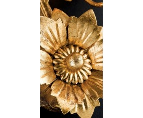 GRAZIOSO ILLUMINAZIONE APPLIQUE 1 LUCE GIULIETTA 2