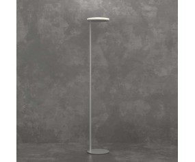 TOP LIGHT PIANTANA MUST