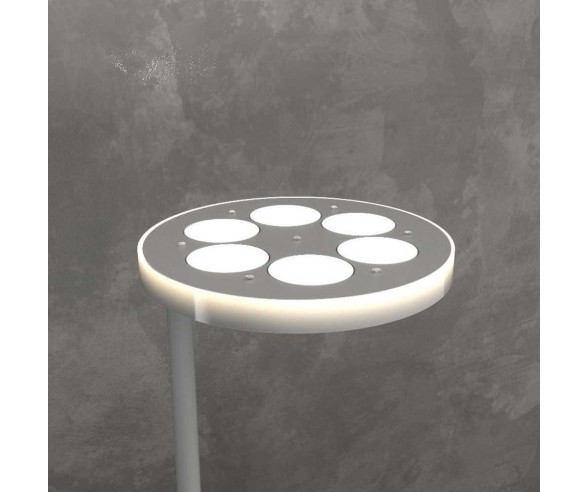 TOP LIGHT PIANTANA MUST