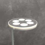 TOP LIGHT PIANTANA MUST
