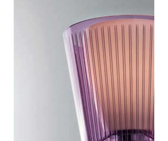 ILLUMINANDO PIANTANA JOLLY P