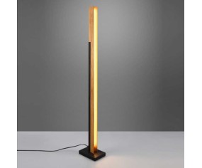 TRIO PIANTANA KERALA LED