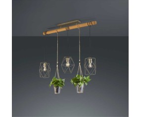 TRIO SOSPENSIONE PLANT