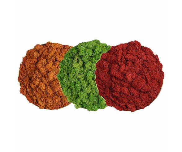 ACB APPLIQUE DI DESIGN CHAMALEON