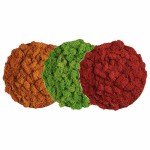 ACB APPLIQUE DI DESIGN CHAMALEON