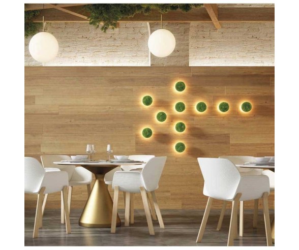 ACB APPLIQUE DI DESIGN CHAMALEON