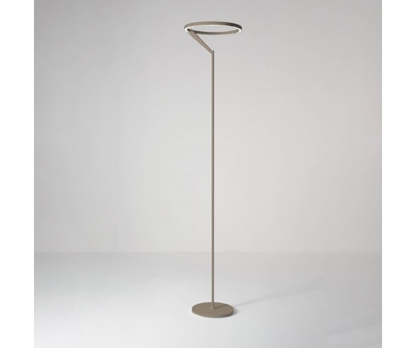 VIVIDA INTERNATIONAL PIANTANA MERIDIANA