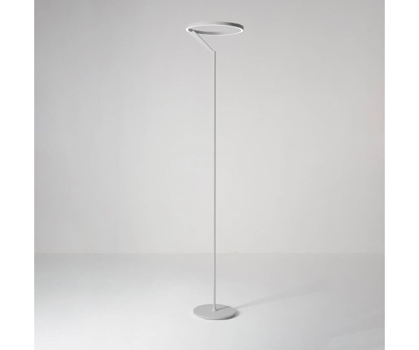 VIVIDA INTERNATIONAL PIANTANA MERIDIANA