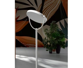 PROMOINGROSS PIANTANA WAY 2