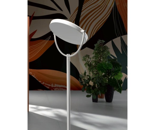 PROMOINGROSS PIANTANA WAY