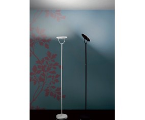 PROMOINGROSS PIANTANA WAY