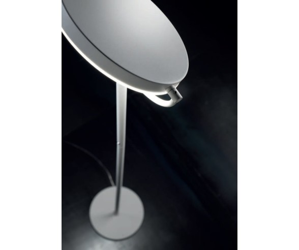 PROMOINGROSS PIANTANA WAY