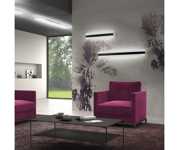PROMOINGROSS APPLIQUE DOUP